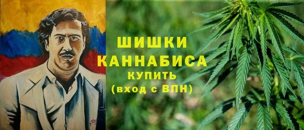 гидра Вязники